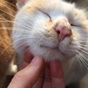 ジェフ♡