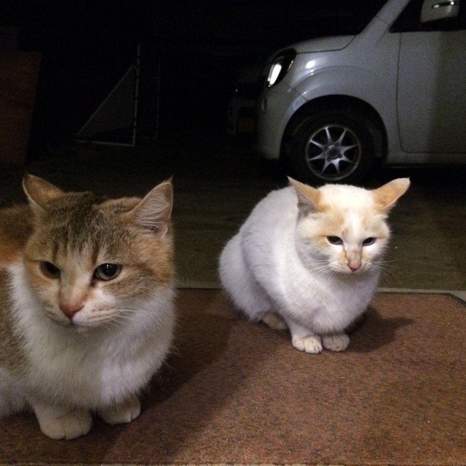 ジェフ♡のカバー写真