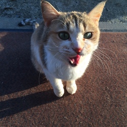心を開き始めた時のクロエ♡