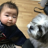 チョロ