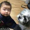 チョロ