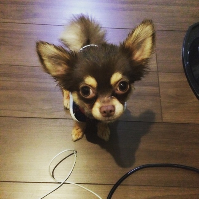 ゆきしょんのカバー写真