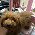 たくさんの応募ありがとうございました。