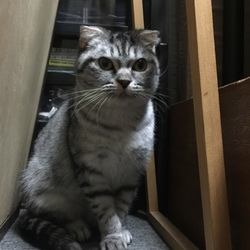 ぽんず