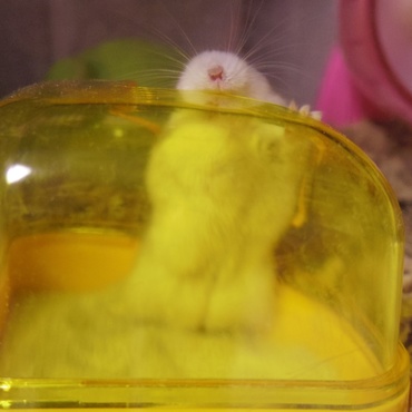 の写真