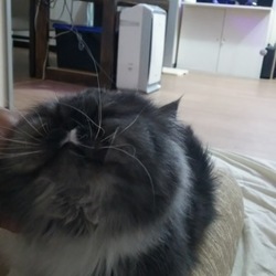 「天ちゃんとの距離」サムネイル2