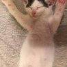 の写真