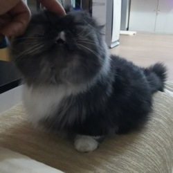 「天ちゃんとの距離」サムネイル3