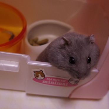 の写真