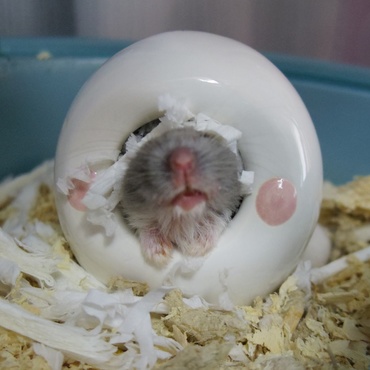 の写真