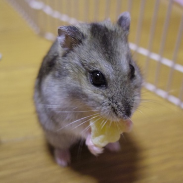 の写真