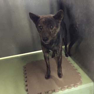 かわいい男の子 人慣れしてます