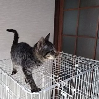 灰に成る為に産まれて来た訳では在りません！