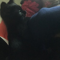 元気に遊んでます！