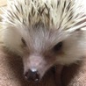 キリッ(｀_´)ゞ