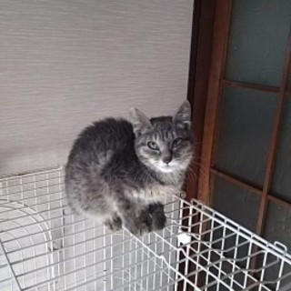 灰に成る為に産まれて来た訳では在りません！