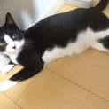 お願い致します。