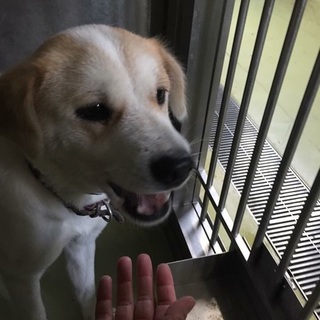 可愛い元気な女の子