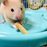 れなお