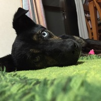 リッキー