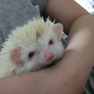 応募者多数のため、締め切ります。