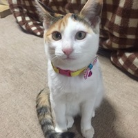 ミミちゃん