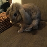 の写真
