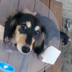 帰って来ました～♪♪