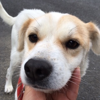 21日期限！甘えた～な可愛い女の子！