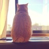 にゃあれもん
