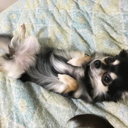 なでなでー
