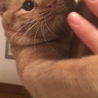 お遊び中