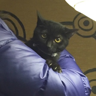 丸顔のキキちゃん女子