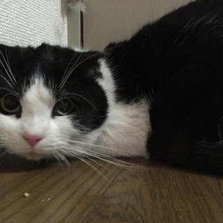 元気いっぱい男の子