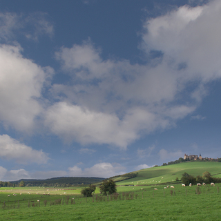 (沢山の問い合わせや励まし、有難うございました)