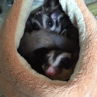 沢山のご応募誠に有難う御座いましたm(__)m