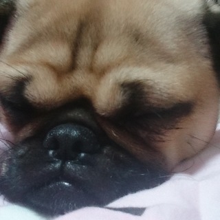 たくさんのご応募ありがとうございました。