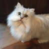の写真