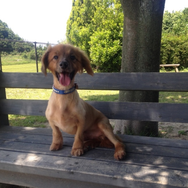 Mary's のカバー写真