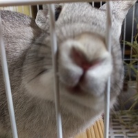 まる