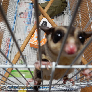 たくさんのご応募ありがとうございました！