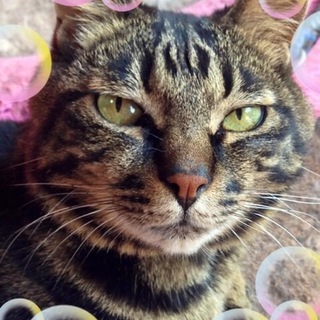 とても人懐こい…