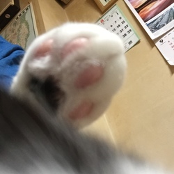 ゆったり～～～