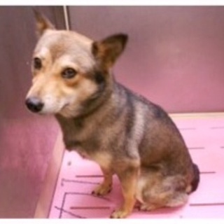 【素敵な家族が見つかりました♪】