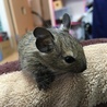かなりカワイイ(*^^*)