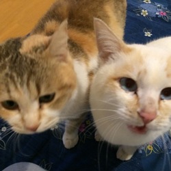 今日も仲良しのジェフとクロエ♡