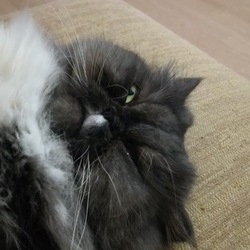 「貞子(゜ロ゜;」サムネイル2