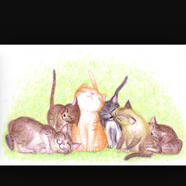 にゃんだーれすきゅー！のカバー写真