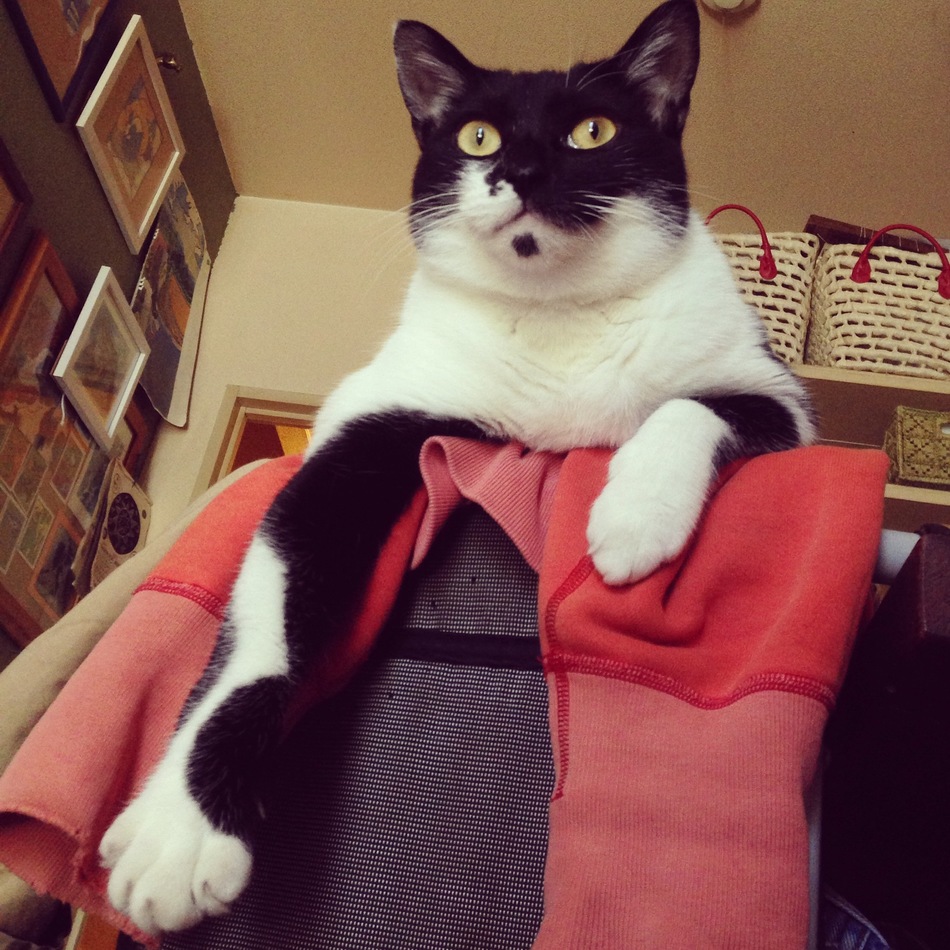 七宝のカバー写真