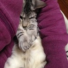 我が家の甘えん坊です★